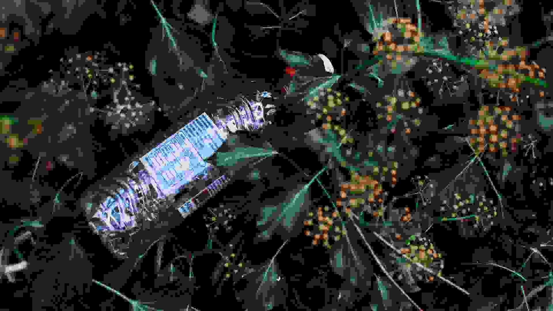 Sample/ grayscale photo of water bottle on grass field 3264752